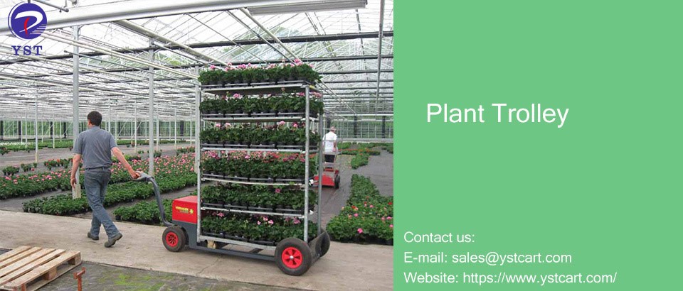 The Growing Choice of More and More People The Growing Choice of More and More People